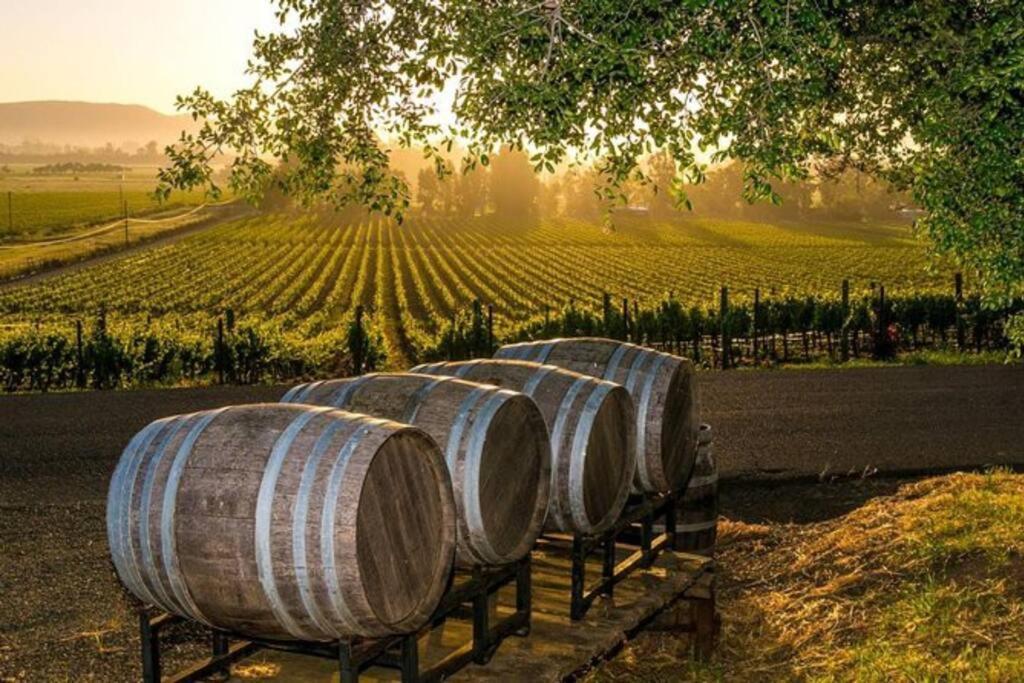 The Container Retreat @ 290 Wine Trail #10 Welcome Friends! Hye Esterno foto